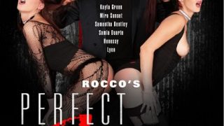 Mükemmel Bir Köle Rocco 2 (2014)